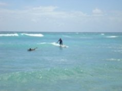 Barbados Surfer s Point 4